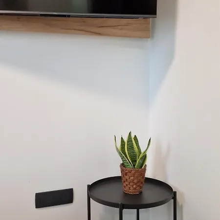 Apartment La Casa Allegra With Private Parking Space