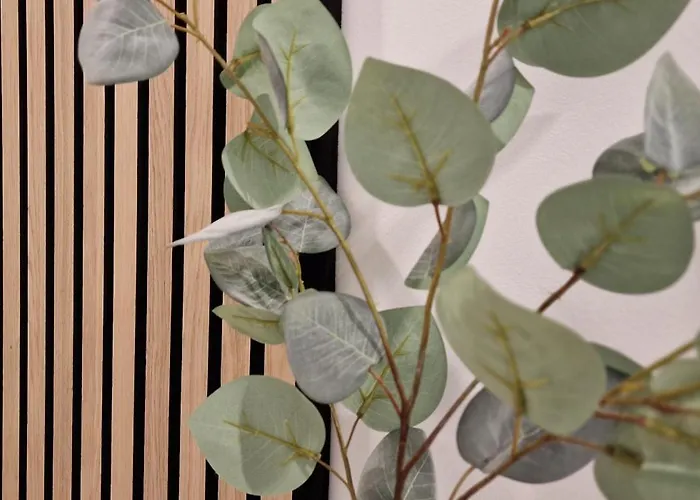 La Casa Allegra With Private Parking Space * Opatija