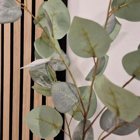 La Casa Allegra With Private Parking Space * オパティヤ